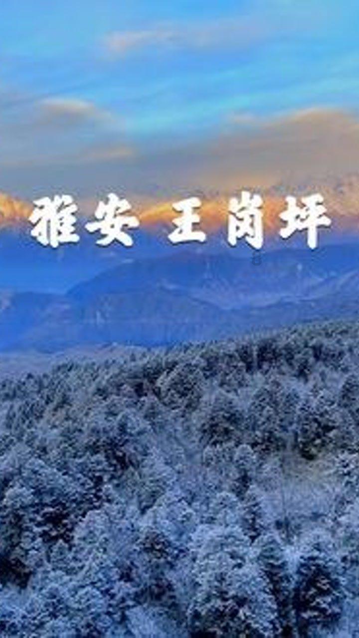 球球大作战下载最新版